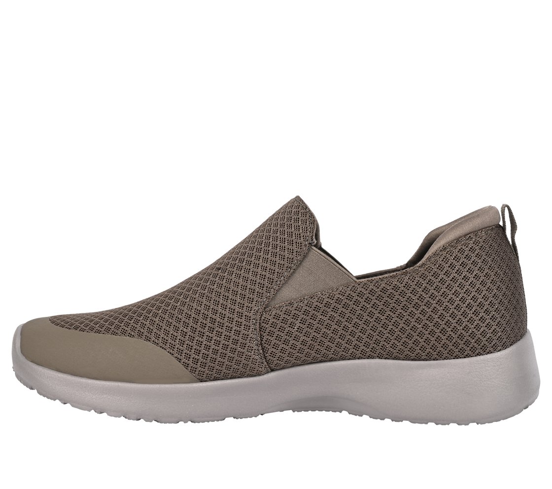 DYNAMIGHT, KHAKI