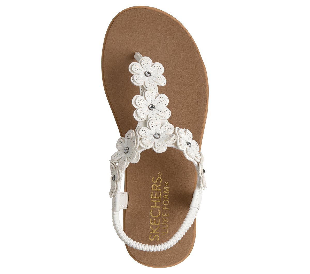 Summer Cove - Beach Bloom