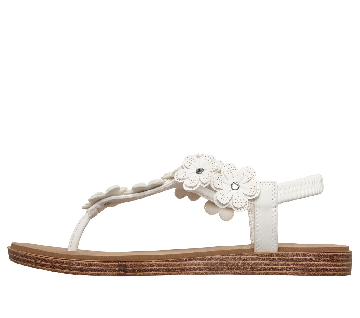 Summer Cove - Beach Bloom