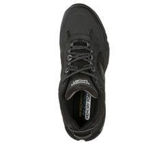 Vigor 3.0 — BLACK 2