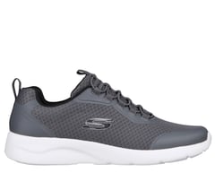 Dynamight 2.0 - Setner — CHARCOAL 1