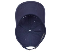 Force Baseball Hat — NAVY 4
