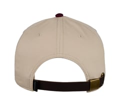 Collegiate Baseball Hat — PEBBLE 2