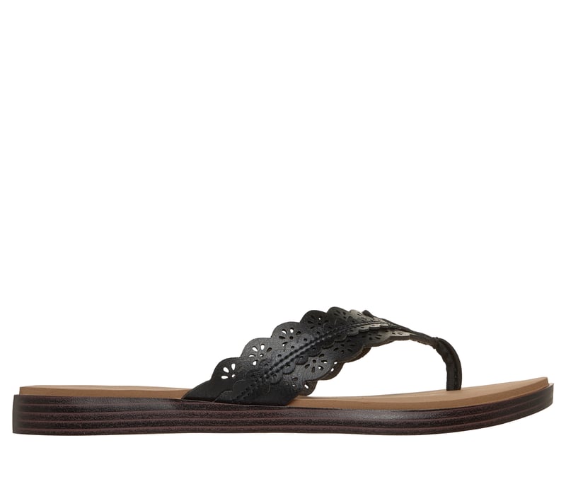 Summer Cove - Catching Sun Too!, BLACK, fullimage number 0