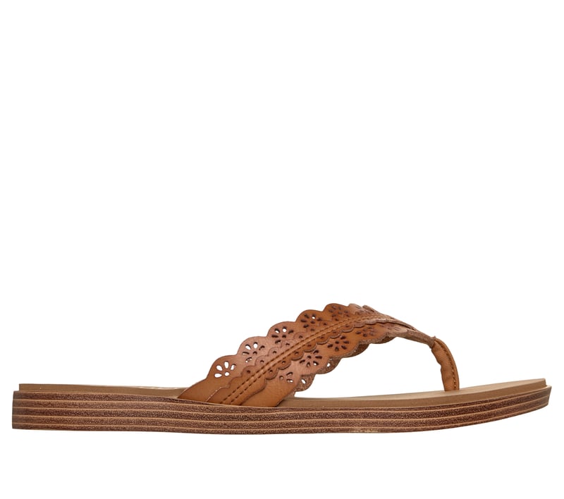 Summer Cove - Catching Sun Too!, TAN, fullimage number 0