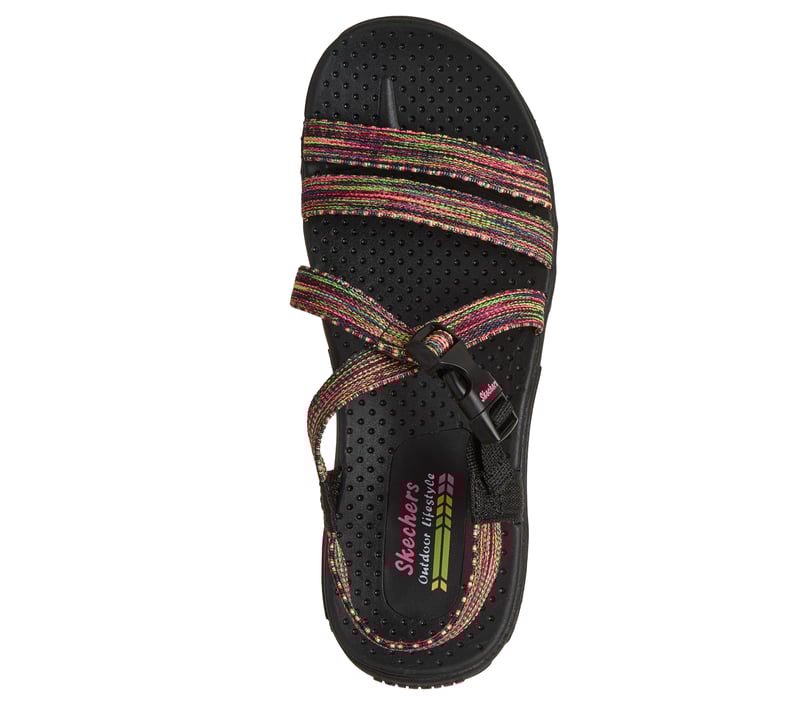 Reggae - Tropical Trail