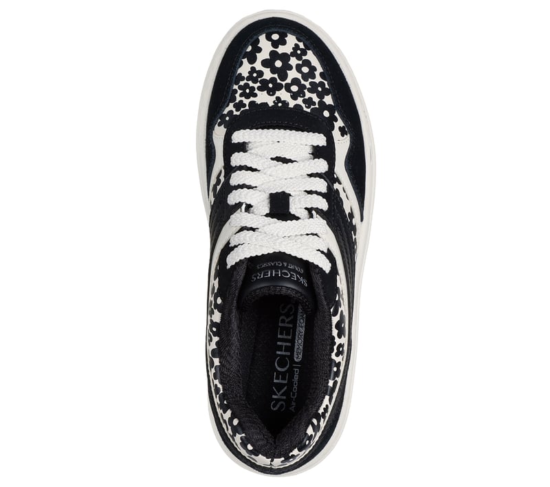 Paloma - Daring Daisy