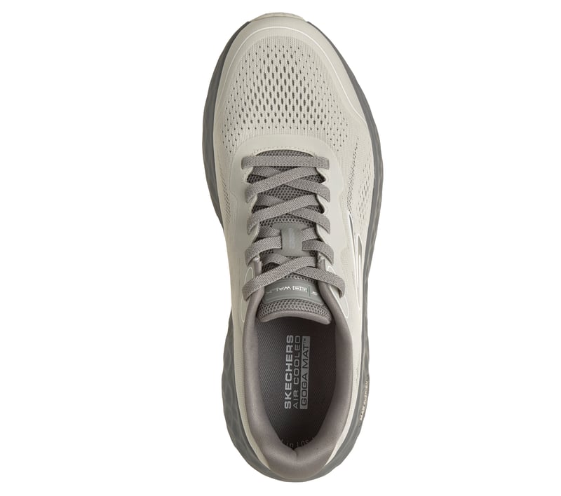 GO WALK Max Cushioning Flex - Oswaldo