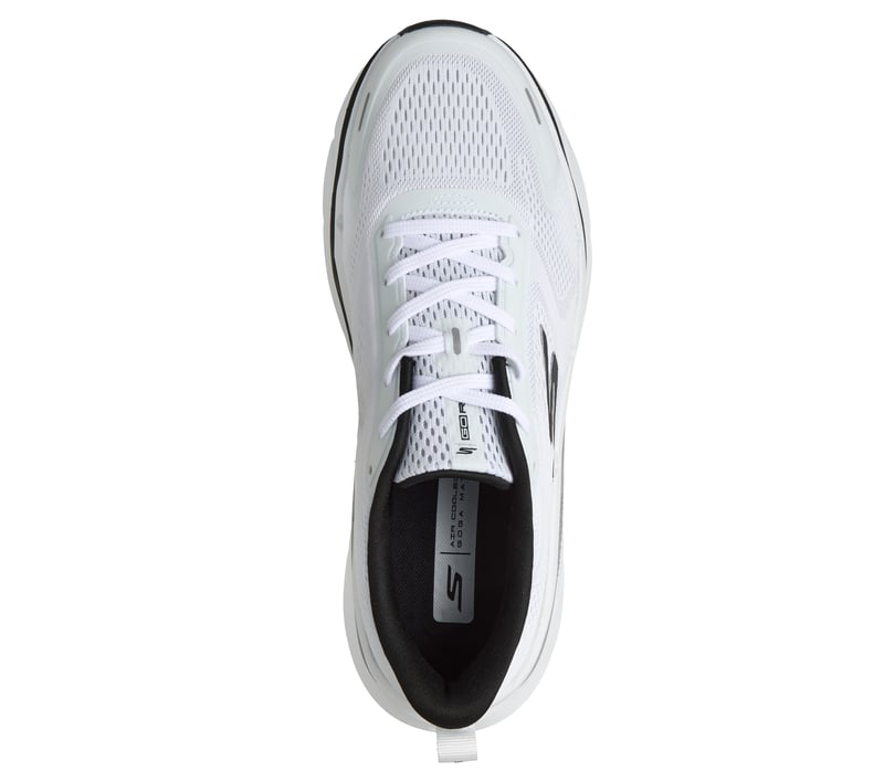 スケッチャーズ マックスクッショニング プレミア 3 | SKECHERS JP