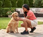 Skechers Slip-ins: BOBS Sport Arc Waves, BLACK, full image number 6
