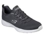 Dynamight, GRAY, full image number 0