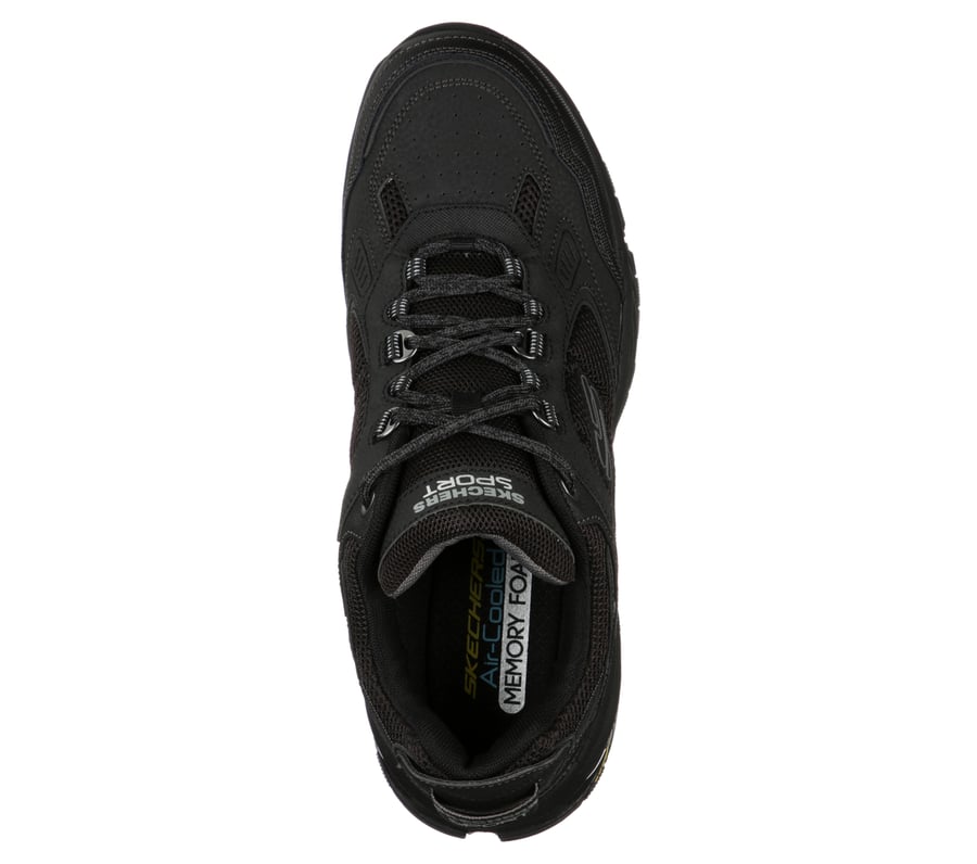 Vigor 3.0