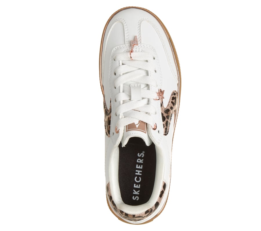 Hotshot - Leopard Fame