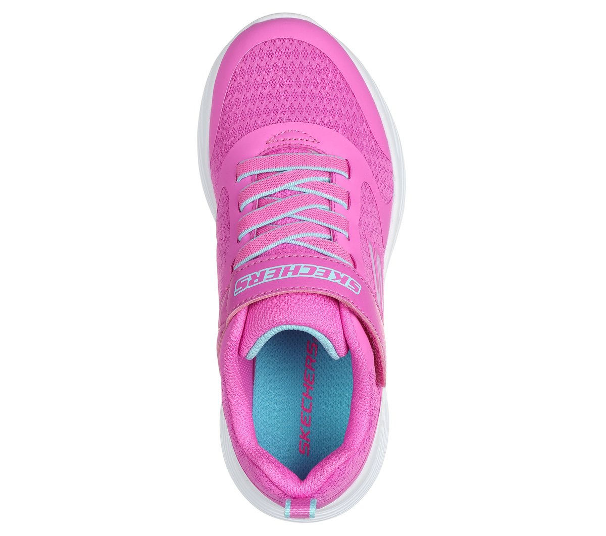 コーラン　/英訳付　現地購入 Amazon | ゼブラ 多機能ペン シャーボX 金軸 リフィル入 SBX-GO